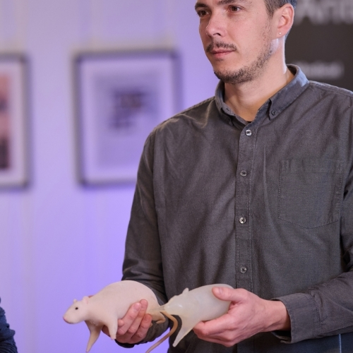 AnthroRat synthetic laboratory rat training model