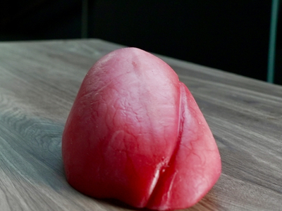 Synthetic silicone organ model for surgical training simulation - not real tissue