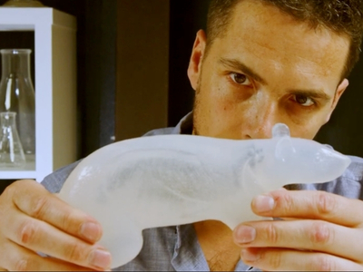 Transparent synthetic silicone rat prototype for anatomical education and training